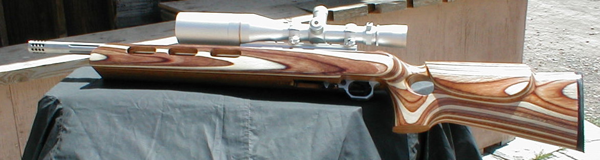 Ruger 10 22 Stocks